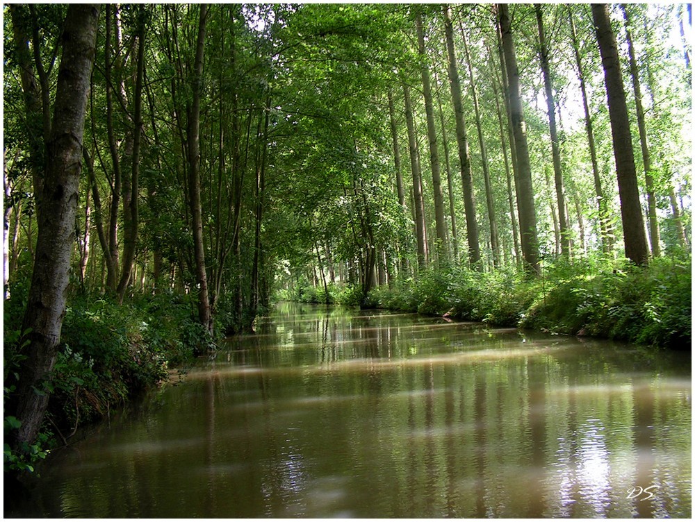 Marais Poitevin