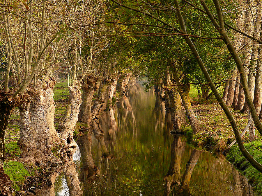 marais poitevin