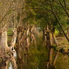 marais poitevin