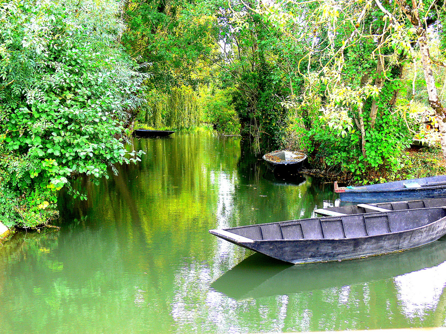 Marais Poitevin - Automne 2014