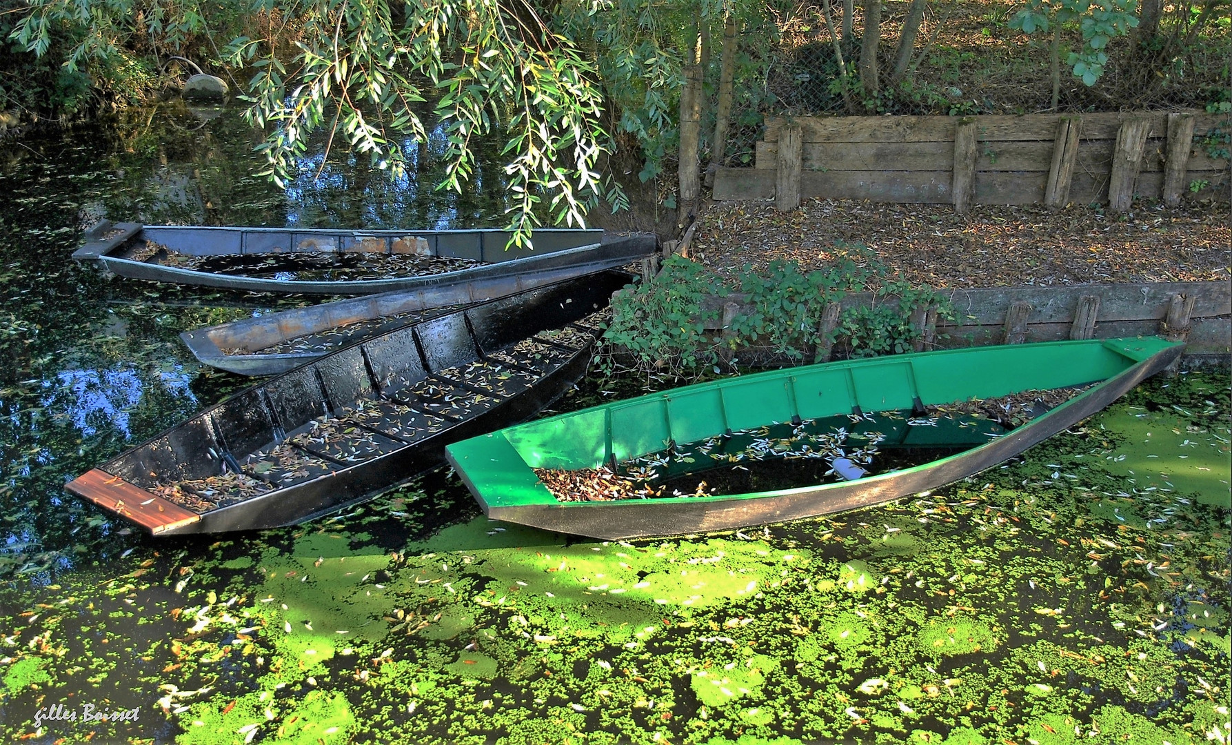 marais poitevin barques en hiver