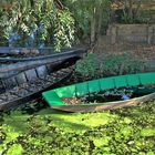 marais poitevin barques en hiver