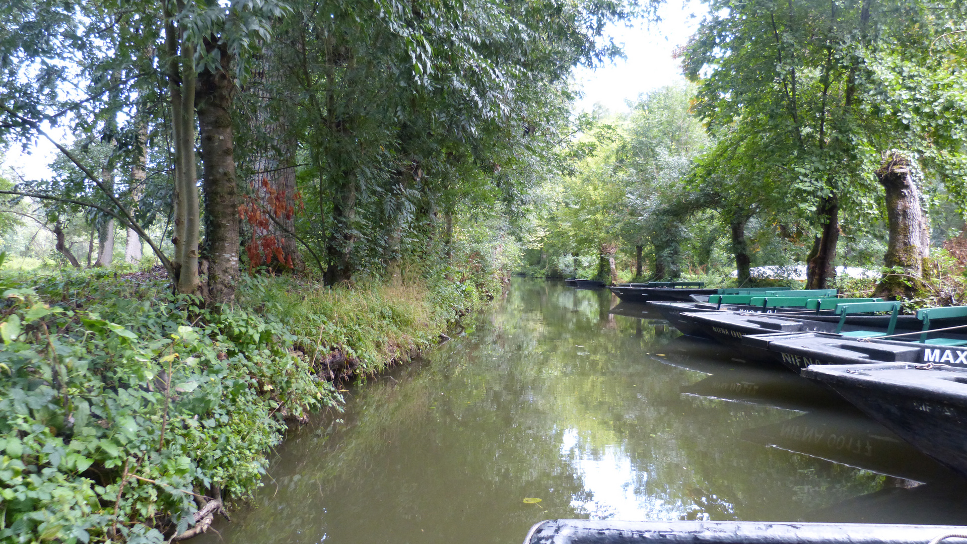 Marais Poitevin