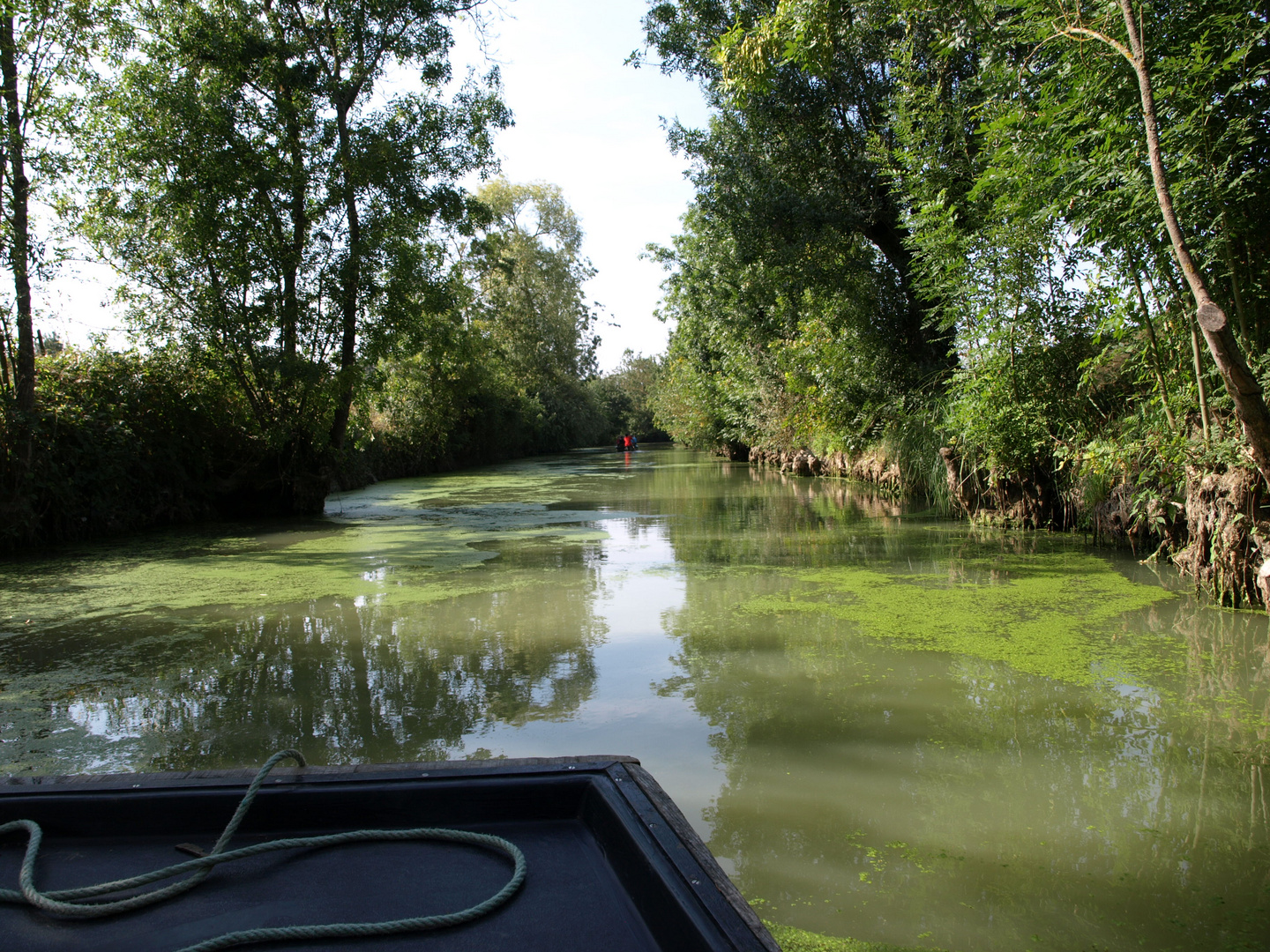 marais poitevin