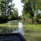 marais poitevin