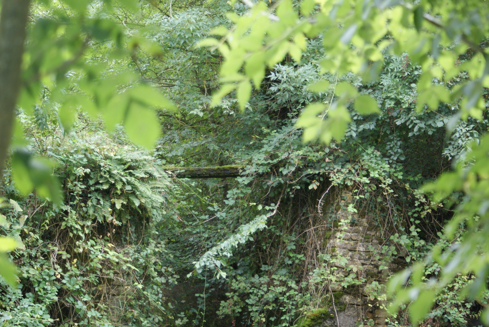 marais poitevin