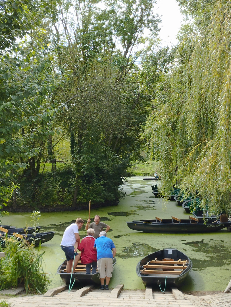 Marais Poitevin, Maillezais