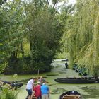 Marais Poitevin, Maillezais