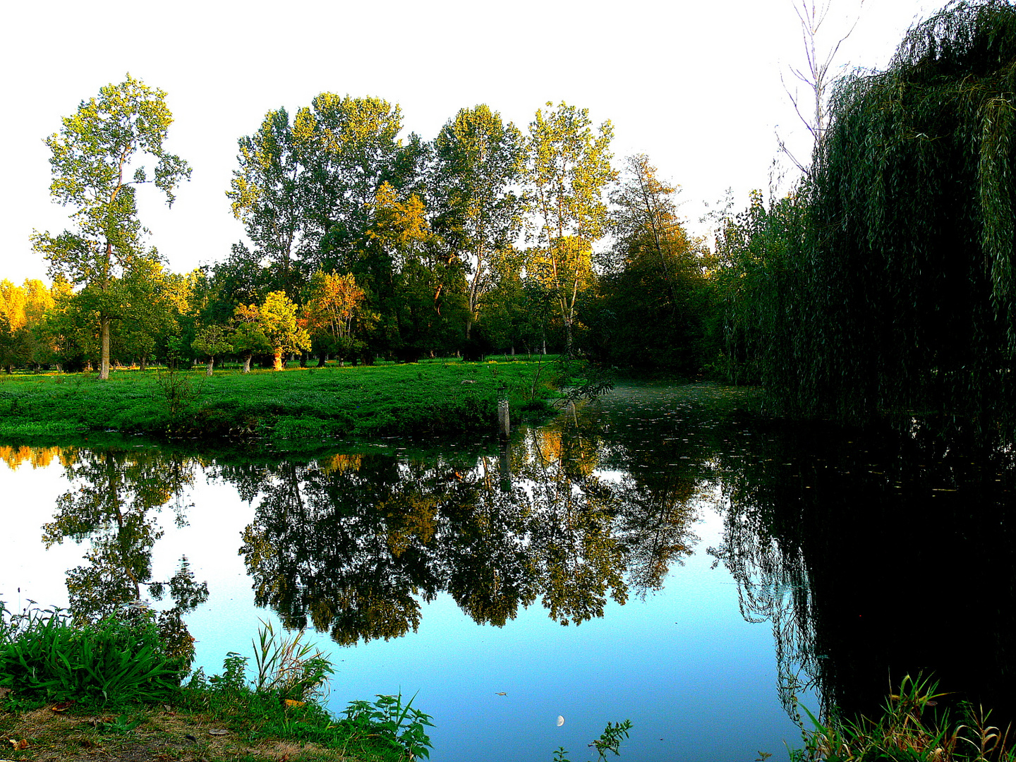 Marais Poitevin - Soir d'automne 2014