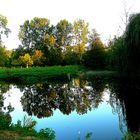 Marais Poitevin - Soir d'automne 2014