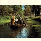 MARAIS POITEVIN  . TRANSPORT  DU BETAIL VERS LES PATURES