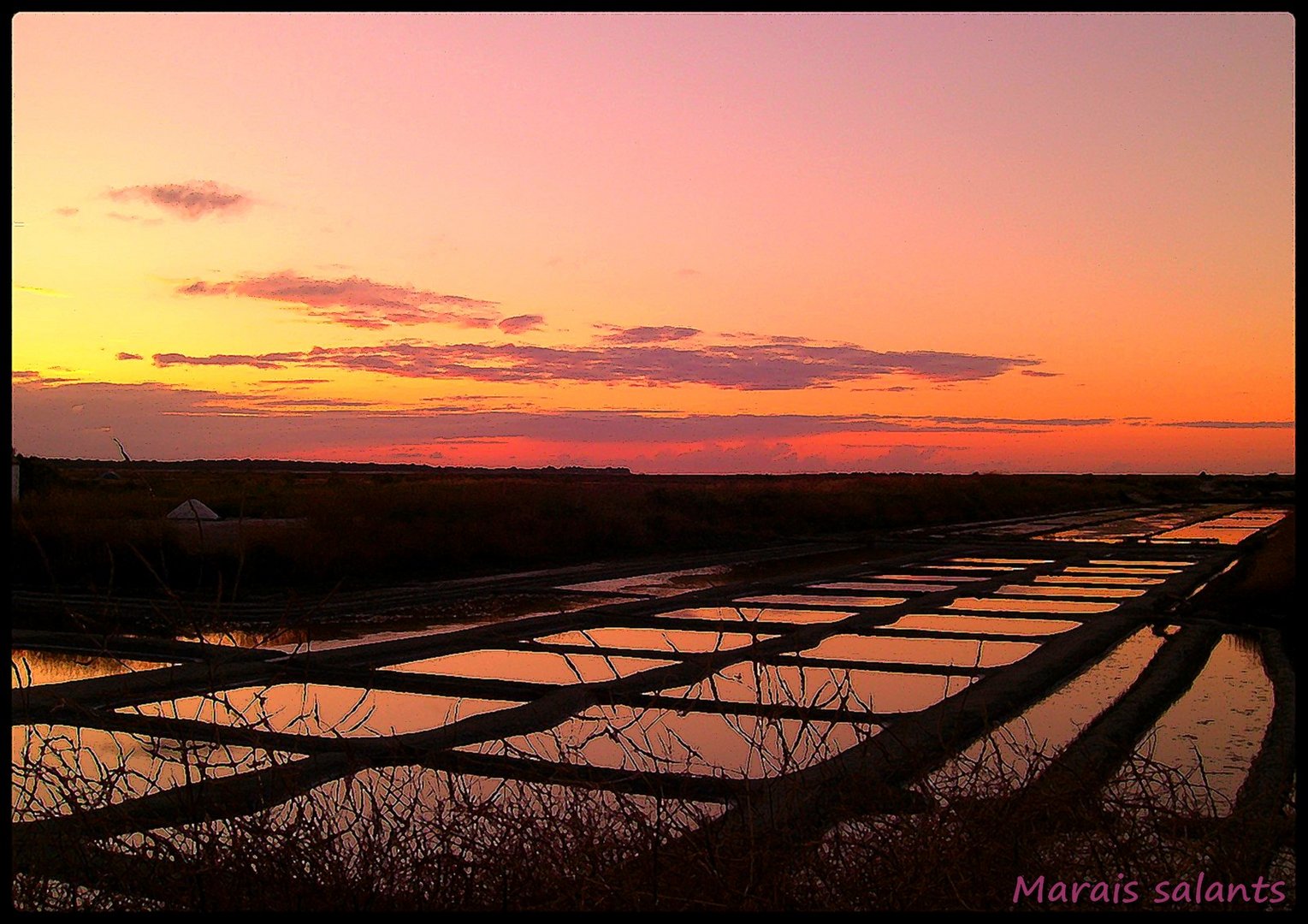 Marais salant