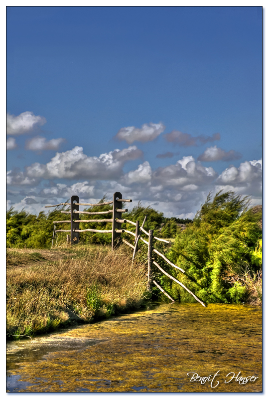 Marais salant - Vendée