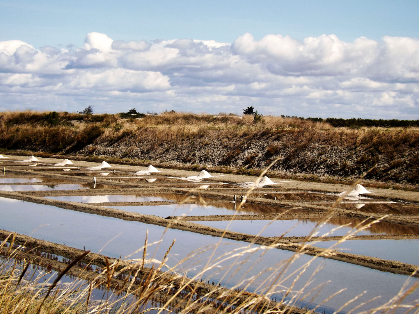 Marais salants