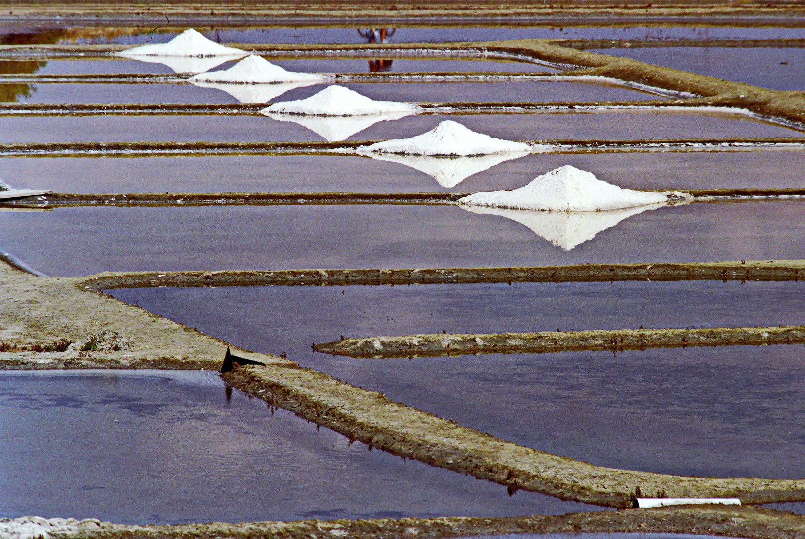 Marais Salants