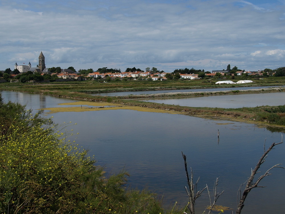 Marais salants