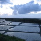 marais salants de Guérande