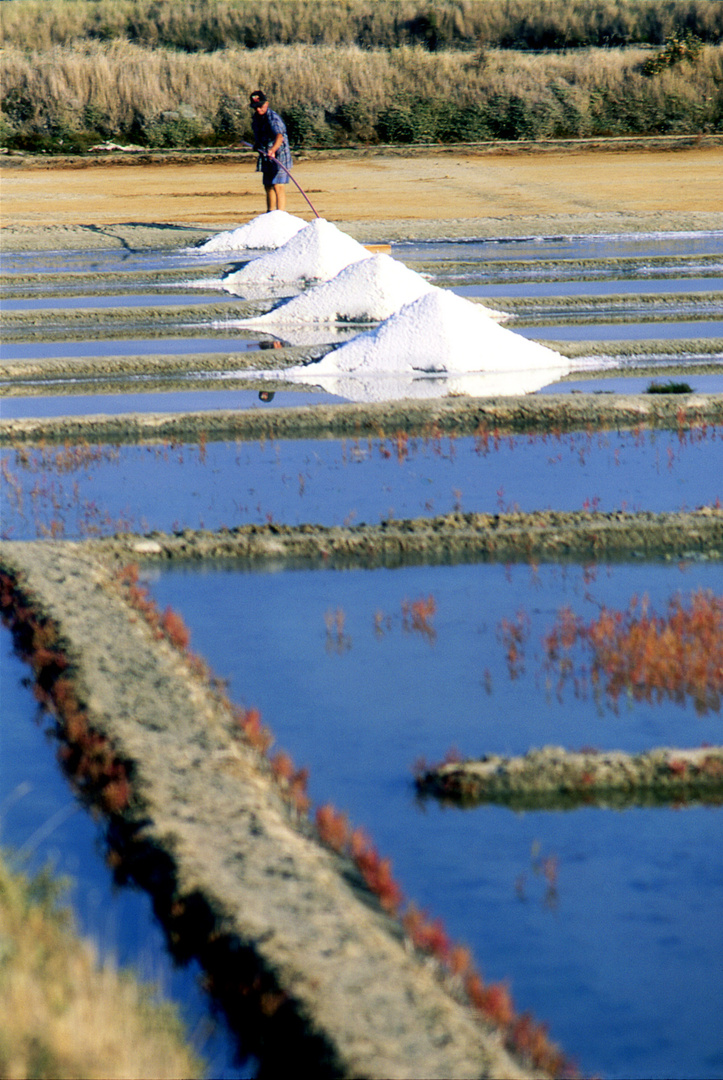 marais salants de Guérande