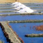 marais salants de Guérande