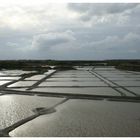 Marais salants de Guérande