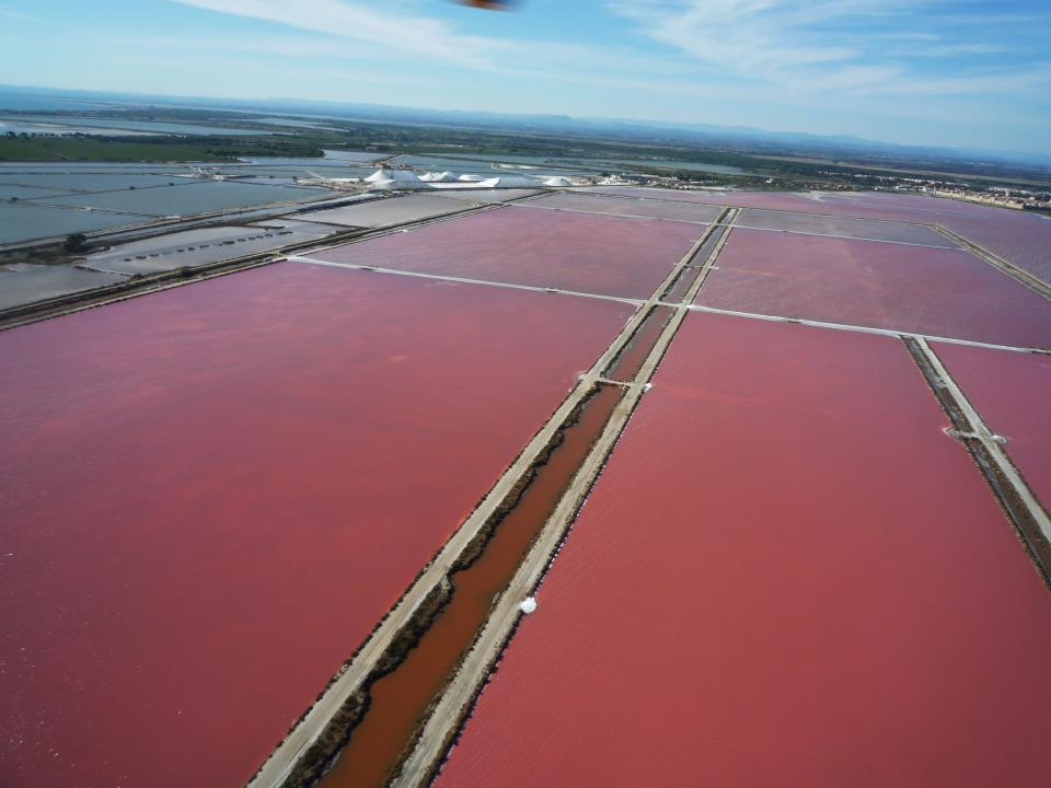 marais salants du midi