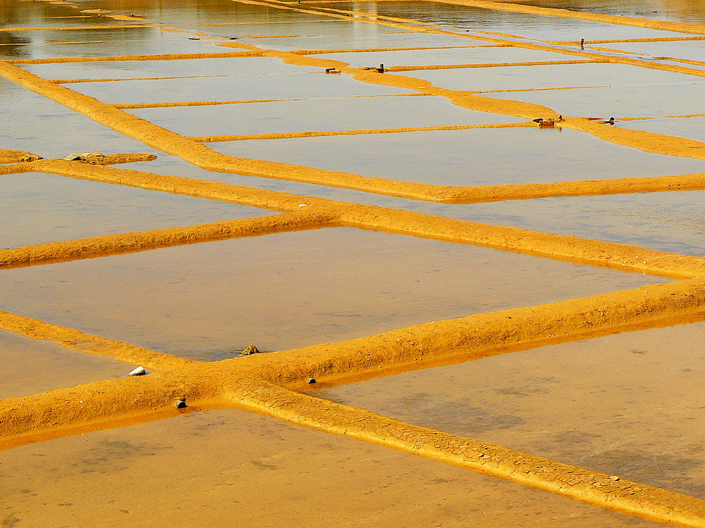 Marais salants.