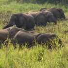 Maramba River Lodge