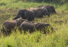 Maramba River Lodge