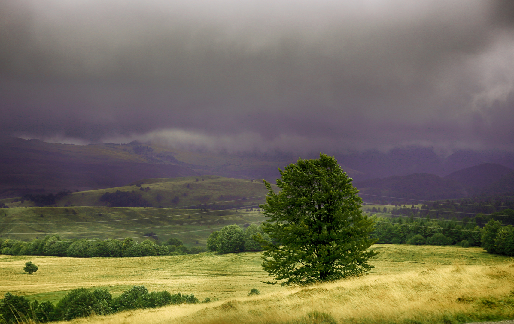 #Maramures (5)