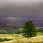 #Maramures (5)