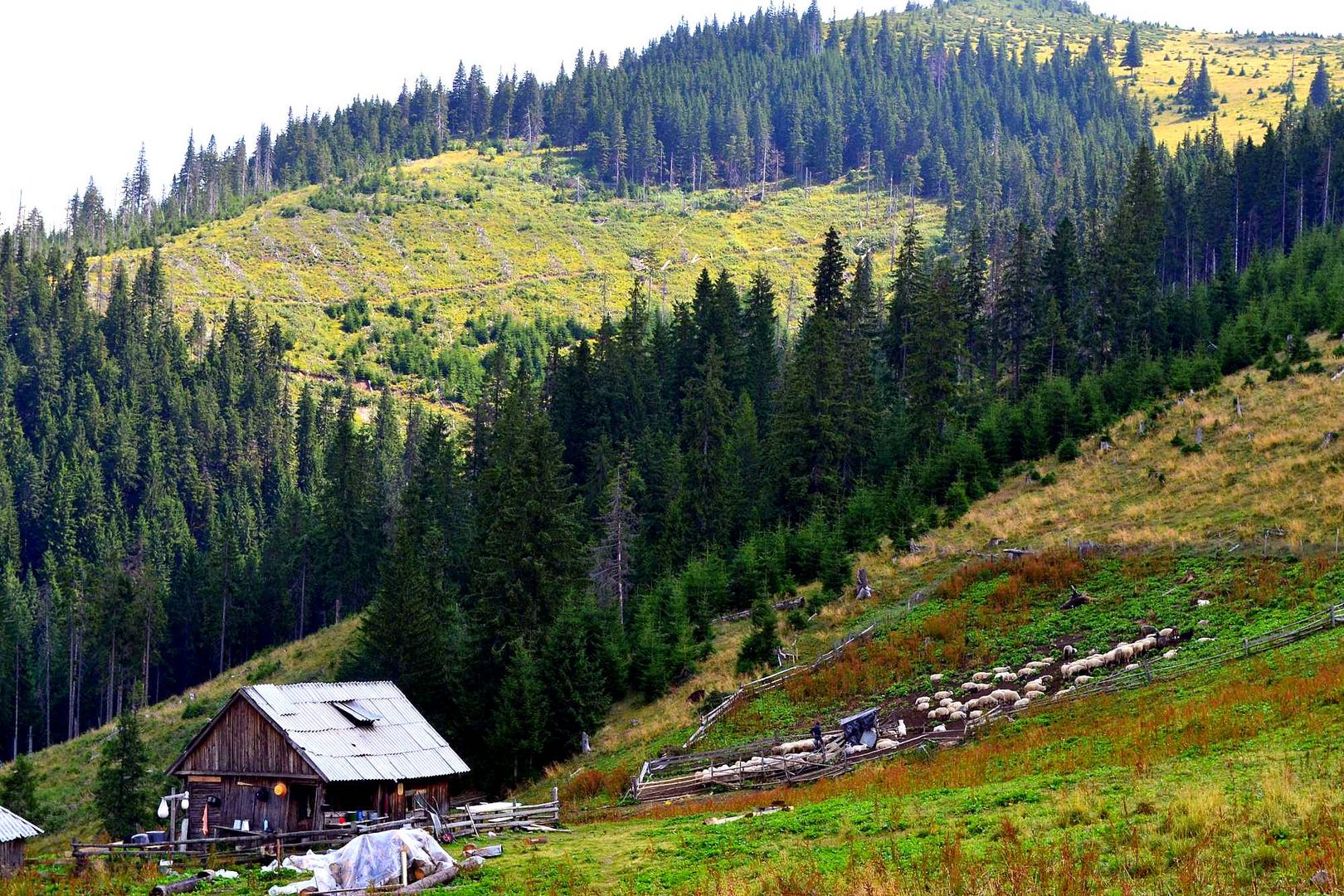 maramures