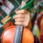 Maramures folk fiddler