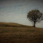 Maramures (Rumänien)