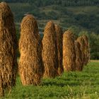 maramures site