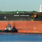 Maran Capricorn / Crude Oil Tanker