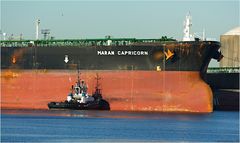 Maran Capricorn / Crude Oil Tanker