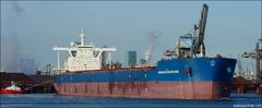   MARAN COURAGE, Bulk Carrier, Calandkanal, Rotterdam.