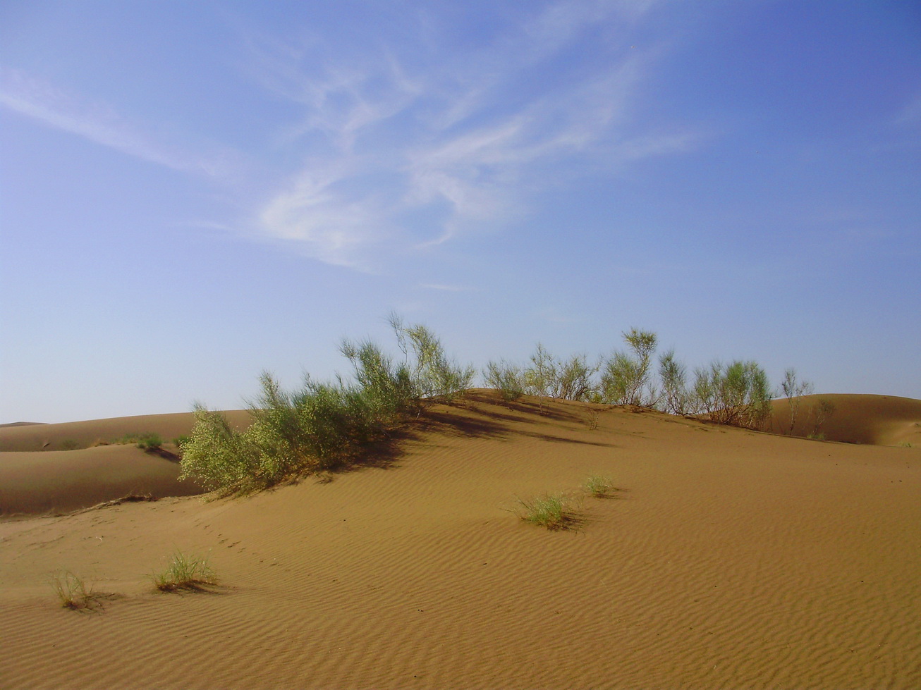 Maranjab Desert