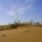 Maranjab Desert