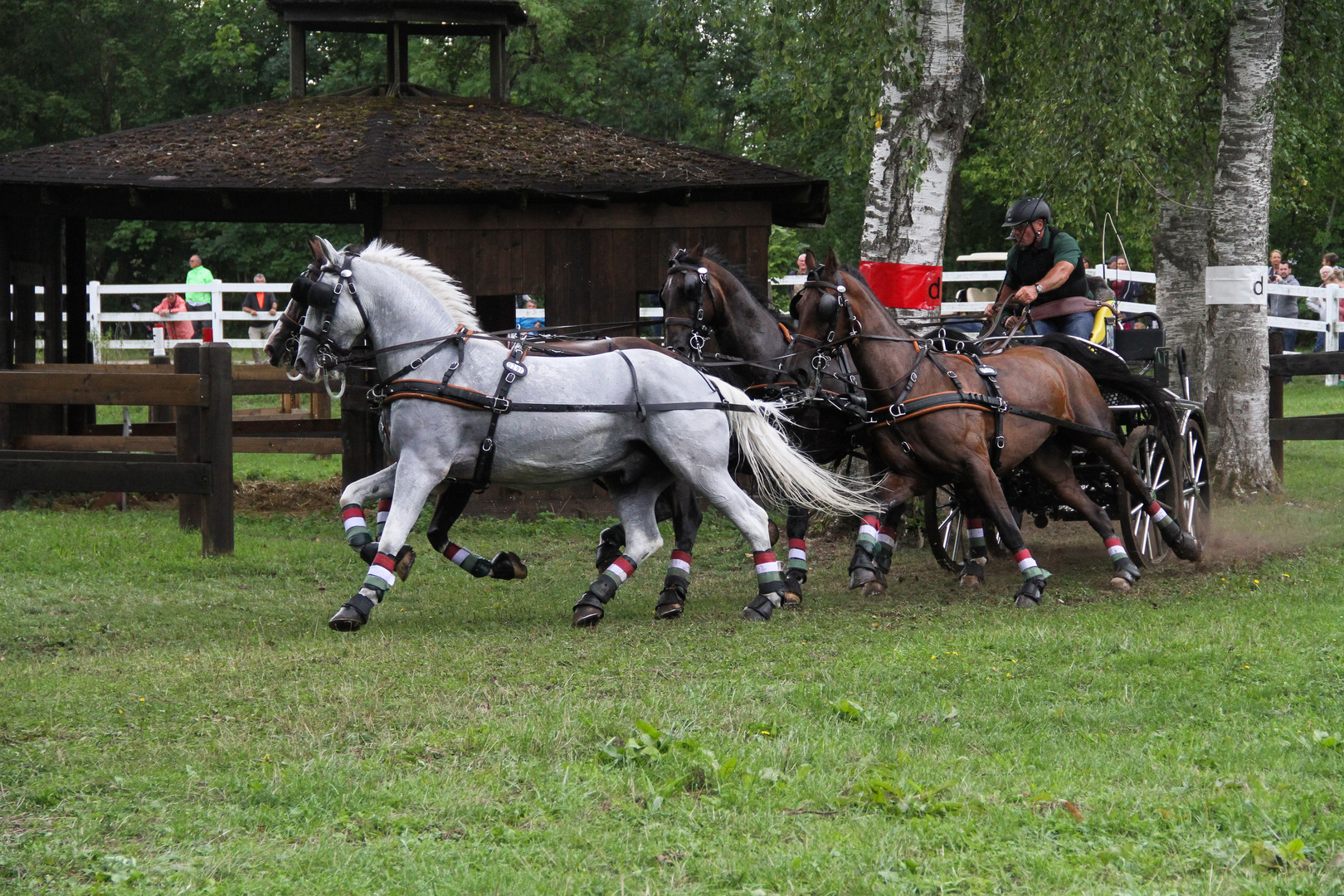 Marathon Vierspänner-3