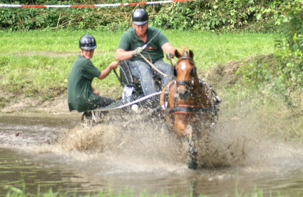 maraton fur Pferd und Mensch