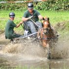 maraton fur Pferd und Mensch