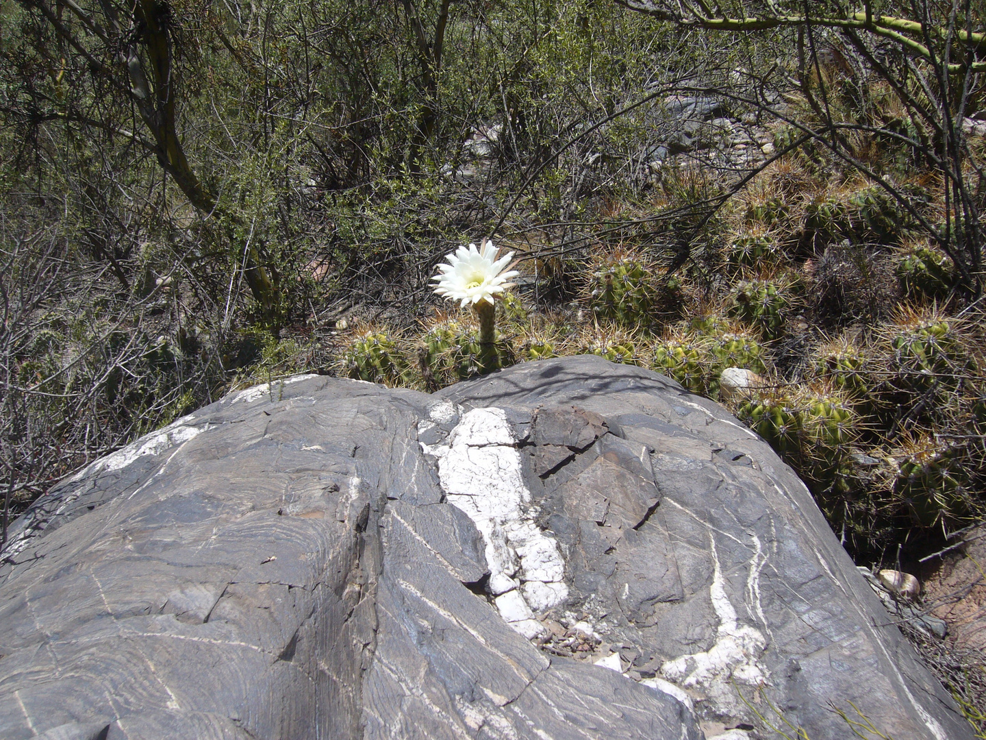 Maravillas de la naturales