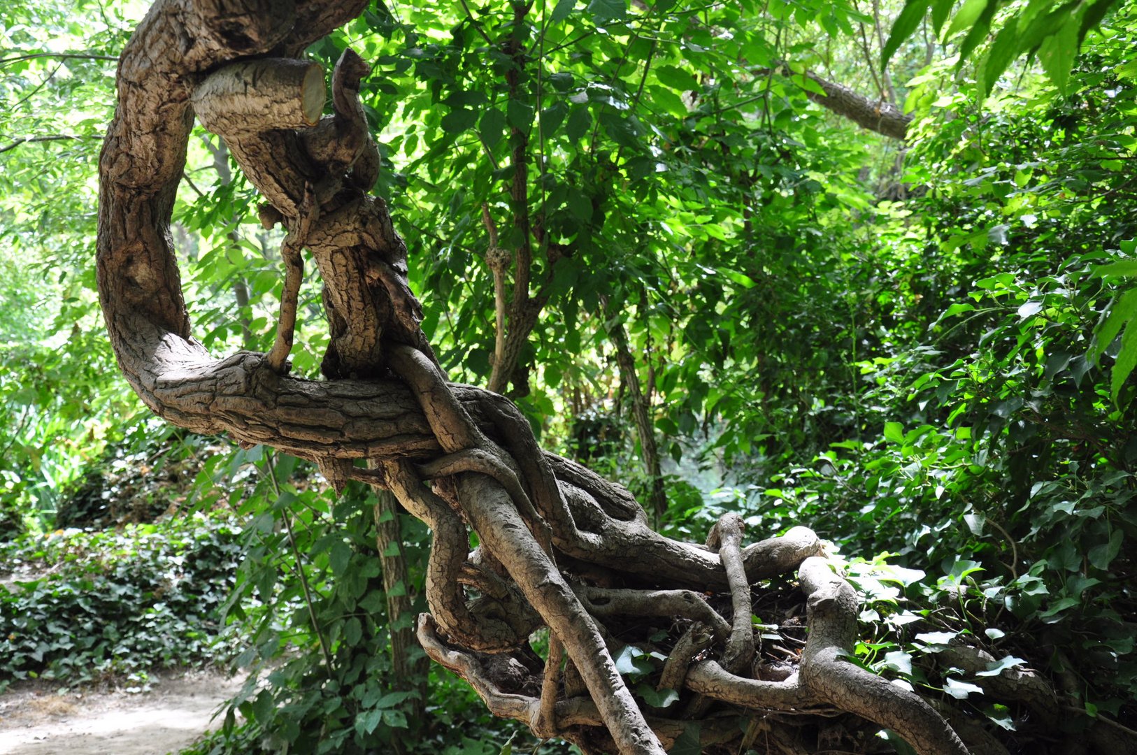 Maravillas de la naturaleza