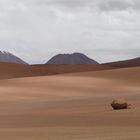 Maravillosa Cordillera de los Andes I