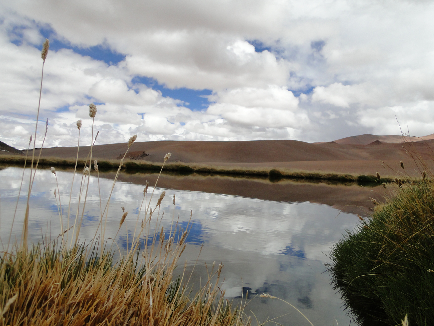 Maravillosa Cordillera de los Andes II