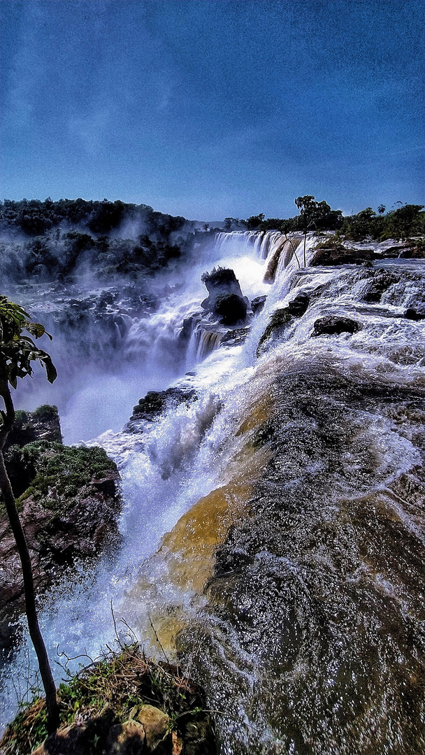 Maravilloso Iguazú 