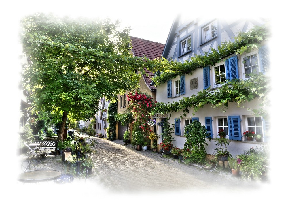 Marbach am Neckar , Holdergasse