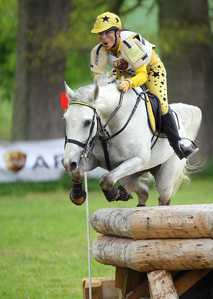 Marbach Eventing/Gelände CIC