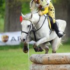 Marbach Eventing/Gelände CIC